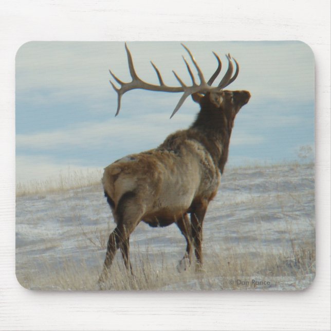 Mousepad E58 Bull Elk Lucky 13 Bull (Frente)