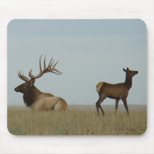 Mousepad E5 Bull Elk e Yearling (Frente)