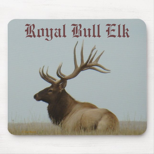 Mousepad E5a Alce Macho Enorme Touro (Frente)