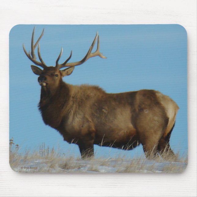 Mousepad E62 Bull Elk Sky Lined (Frente)