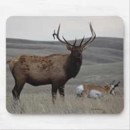 Mousepad E63 Alce Macho e Antílope Pronghorn