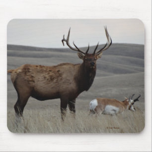 Mousepad E63 Bull Elk e Pronghorn Antelope