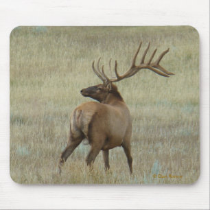 Mousepad E6 Alce Macho em Veludo