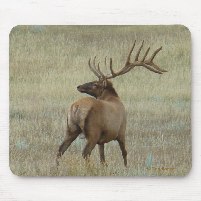 Mousepad E6 Alce Macho em Veludo (Frente)