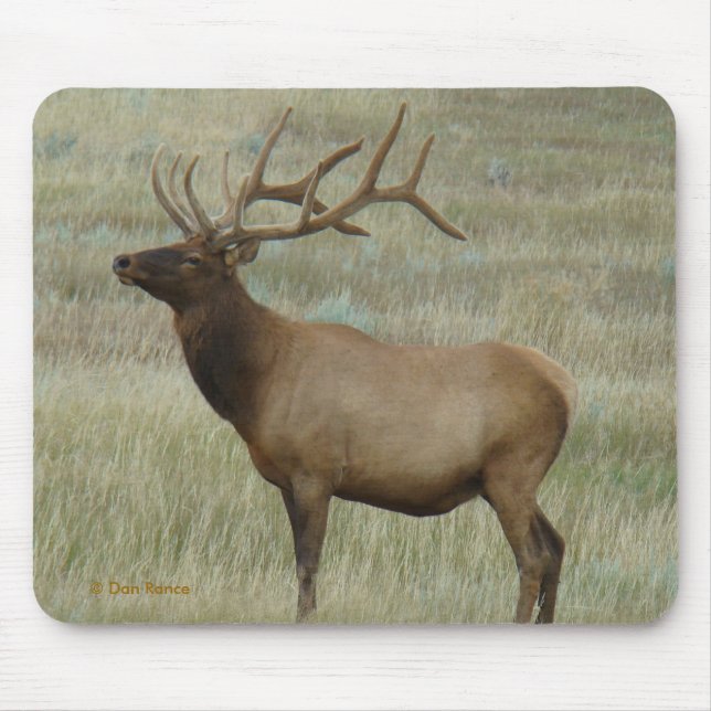 Mousepad E8 Alce Macho em Veludo (Frente)