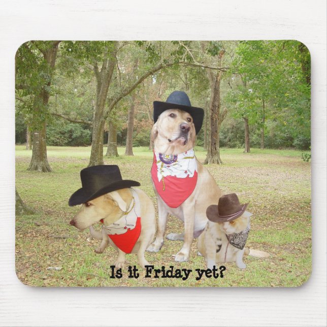Mousepad É sexta-feira ainda? (Frente)