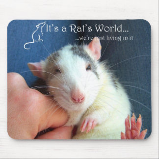 Mousepad É tapete do rato do mundo de um rato