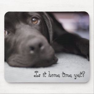 Mousepad É tempo home ainda?