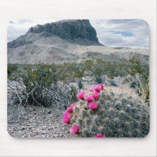 Mousepad E.U.A., Texas, Parque Nacional Big Bend. Florescen
