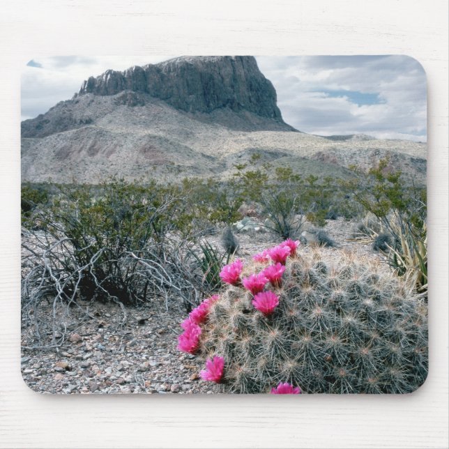 Mousepad E.U.A., Texas, Parque Nacional Big Bend. Florescen (Frente)