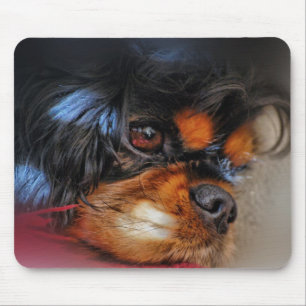 MOUSEPAD É UMA VIDA DURA .......