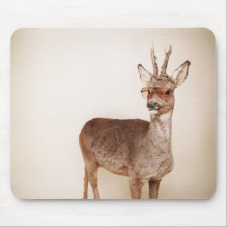 Mousepad E você é?