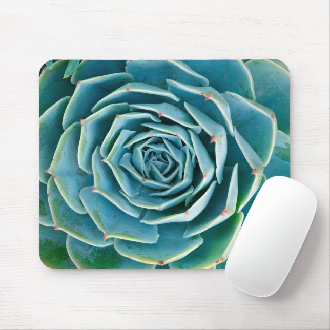 Mousepad Echeveria Roseta, Jardim Secreto de Marrakech (Com mouse)