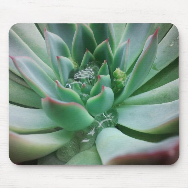 Mousepad Echeveria "Tippy (Frente)