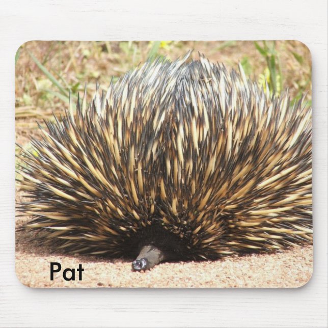 Mousepad echidna_01, pancadinha (Frente)