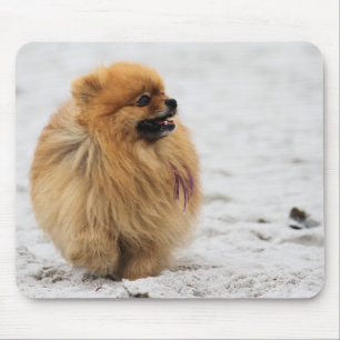 Mousepad Edgrrrr #3 - Pomeranian
