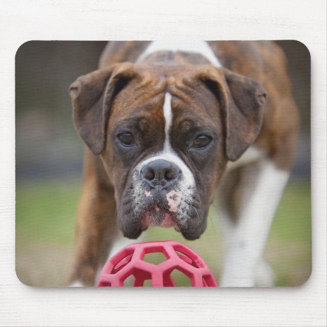 Mousepad edmonton alberta canada (Frente)
