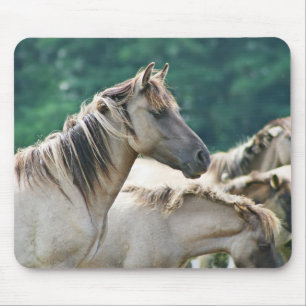 Mousepad Efetivo de Cavalos de Brumby da Austrália