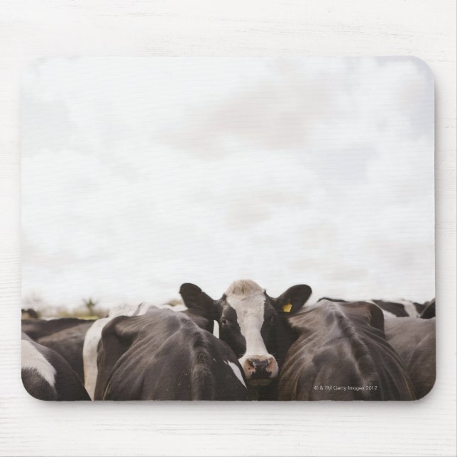 Mousepad Efetivos de bovinos e céu coberto (Frente)