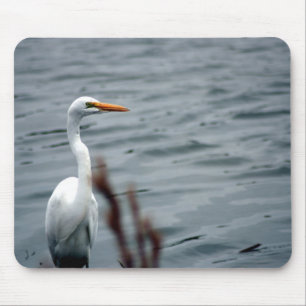 Mousepad Egret (leão branco) em pé na borda das águas