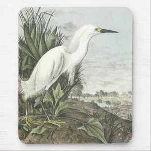 Mousepad Egret nevado