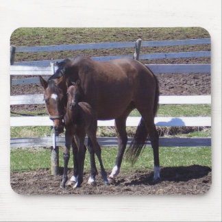 Mousepad Égua e potro