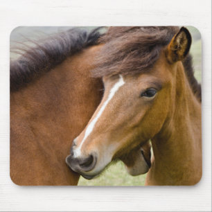 Mousepad Égua e Potro