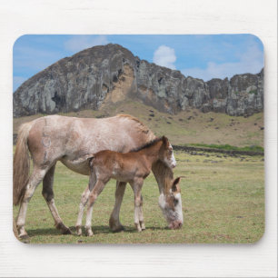 Mousepad Égua e potro na cratera vulcânica de Rano Raraku