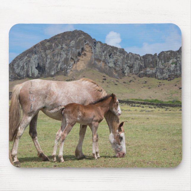Mousepad Égua e potro na cratera vulcânica de Rano Raraku (Frente)