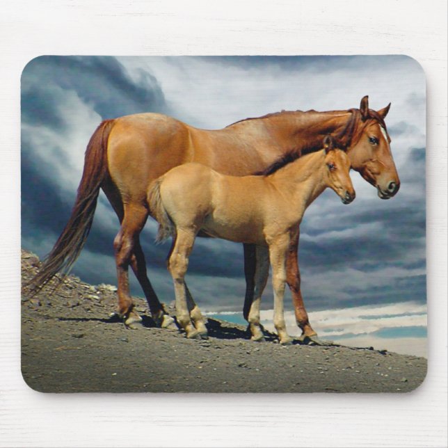 Mousepad Égua espanhola do mustang (Frente)