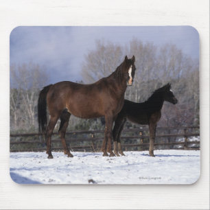 Mousepad Égua & potro árabes na neve