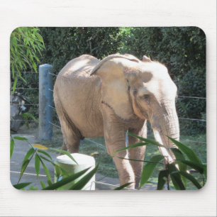 Mousepad Elefante
