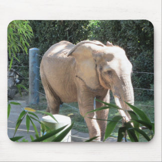 Mousepad Elefante