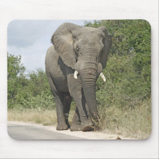 Mousepad Elefante