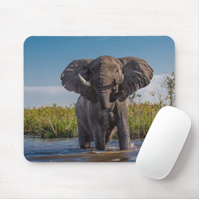 Mousepad Elefante (Com mouse)