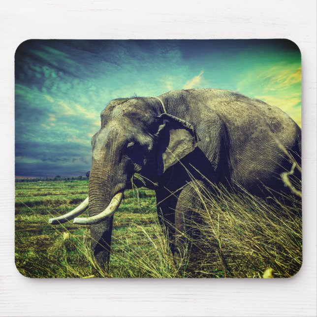 Mousepad Elefante (Frente)