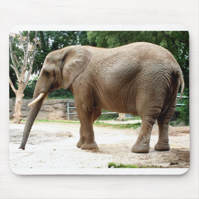 Mousepad Elefante africano (Frente)