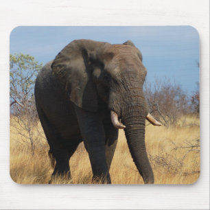 Mousepad Elefante Africano