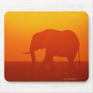 Mousepad Elefante africano que anda no por do sol, Kenya,
