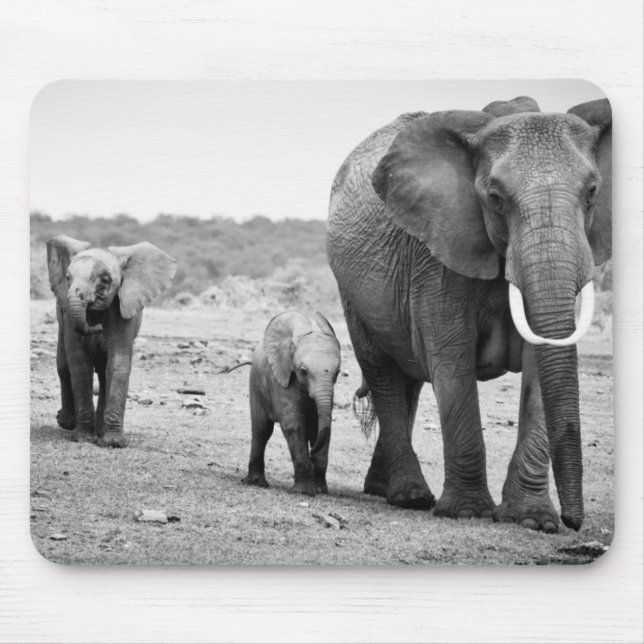 Mousepad Elefante africano & vitelas | Kenya, África (Frente)