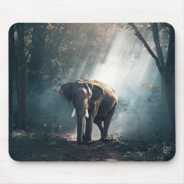 Mousepad Elefante Asiático em Limpeza de Floresta Solta (Frente)