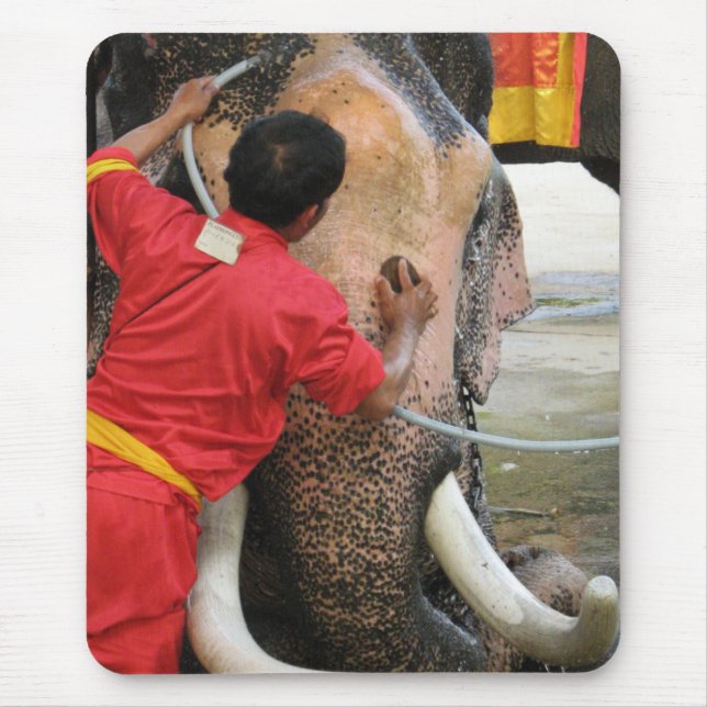 Mousepad Elefante Bathtime... Ayutthaya, Tailândia (Frente)