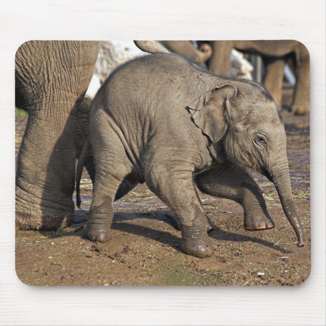 Mousepad Elefante bebê (Frente)