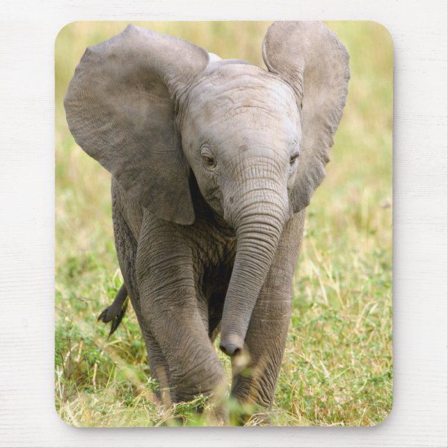 Mousepad Elefante bebé (Frente)