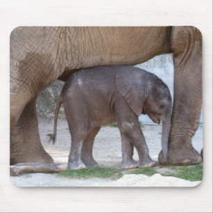 Mousepad Elefante bebê