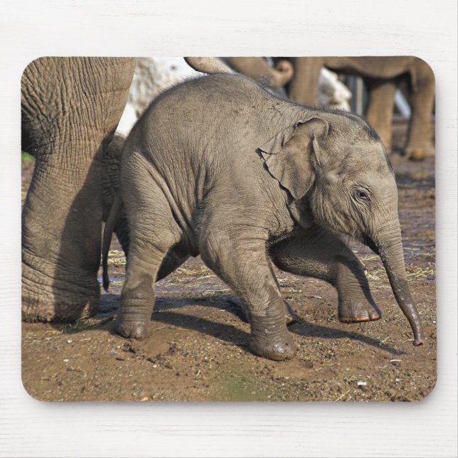 Mousepad Elefante bebê (Frente)