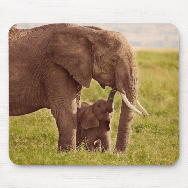 Mousepad Elefante & bebê das imagens | de Getty (Frente)