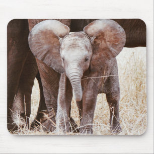 Mousepad Elefante-bebê elefante-africano-bonito com mamãe