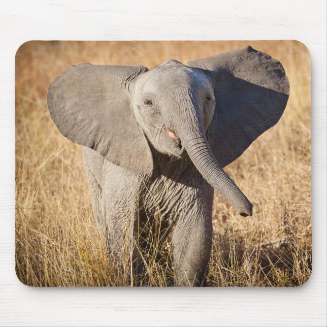 Mousepad Elefante Jovem da Savana (Frente)