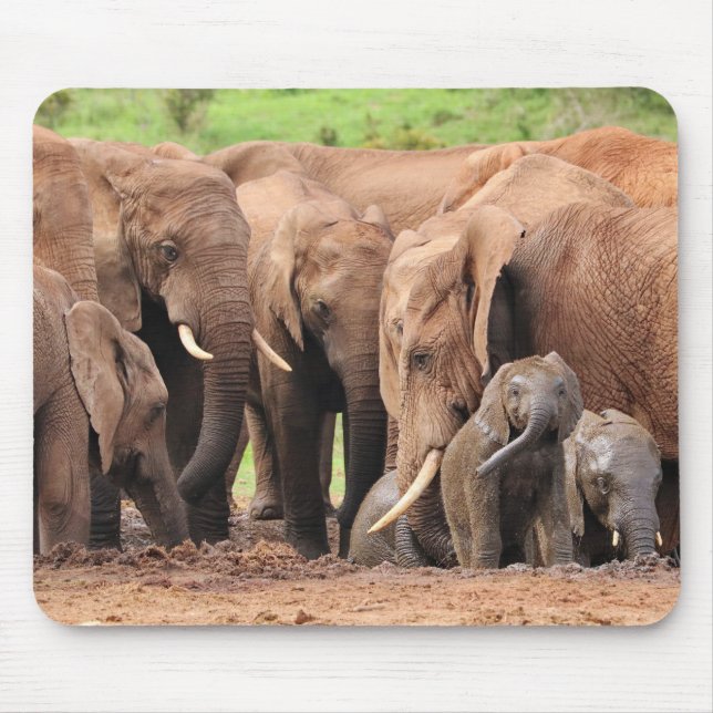 Mousepad elefantes são bonitinhos (Frente)